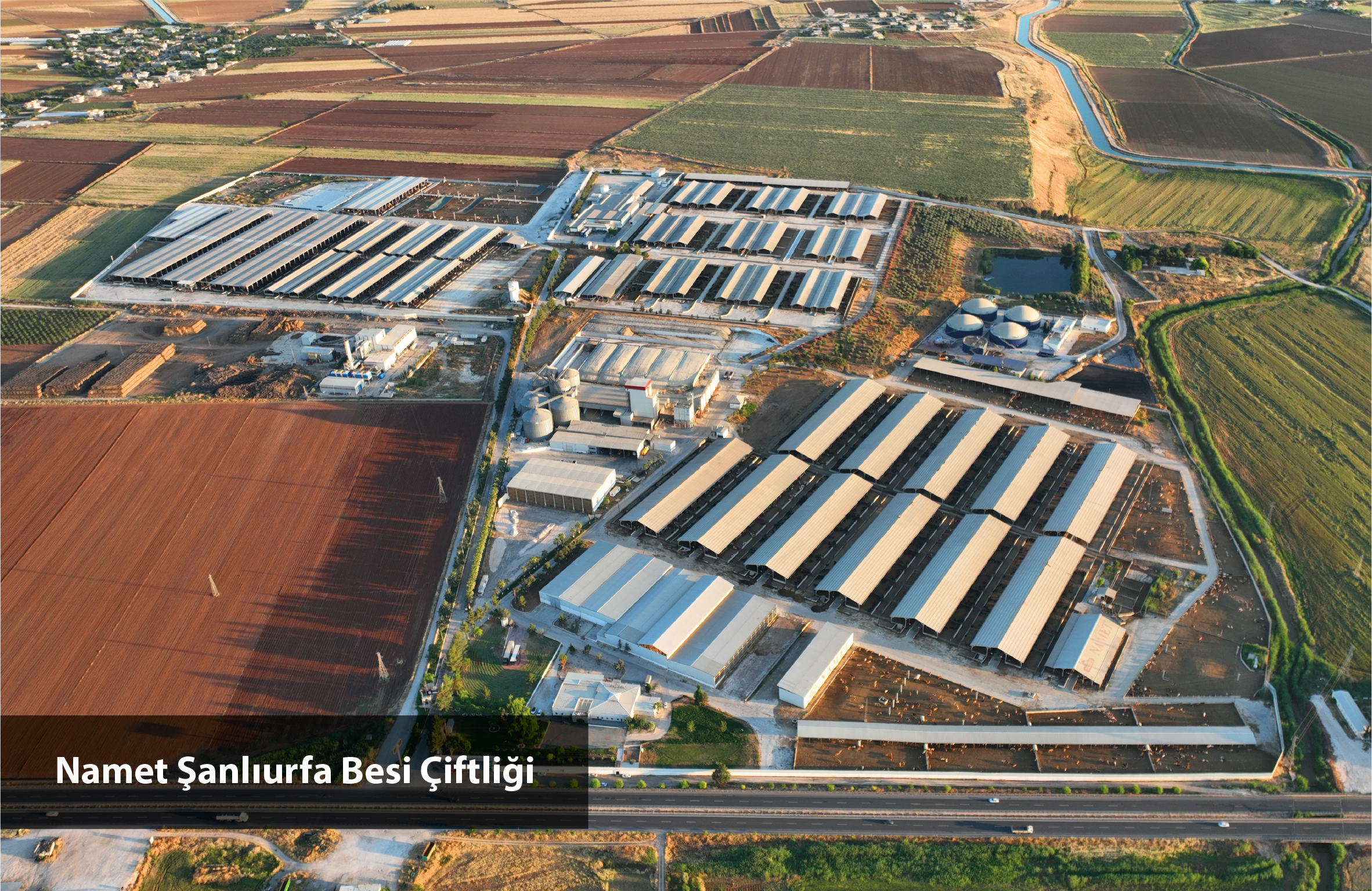 Namet Şanlıurfa Besi Çiftliği